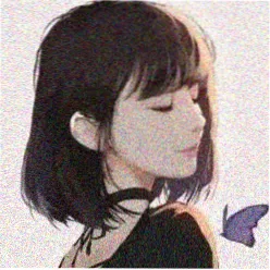 追剧猫猫